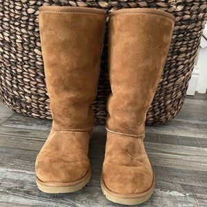 Women’s Tall Chestnut Uggs